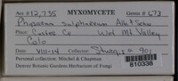 Image Associated With the Occurence